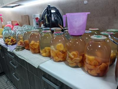 Прикрепленное изображение: Resizer_16908438197541.jpeg